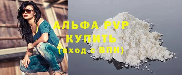 индика Гусиноозёрск
