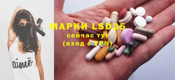 ECSTASY Горняк