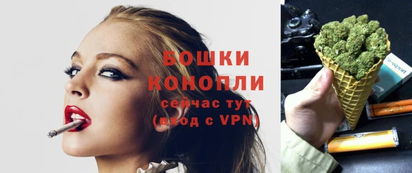 бошки Горнозаводск