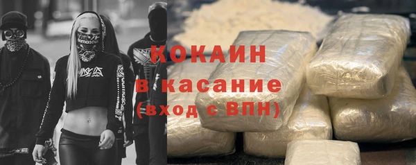 ECSTASY Горняк