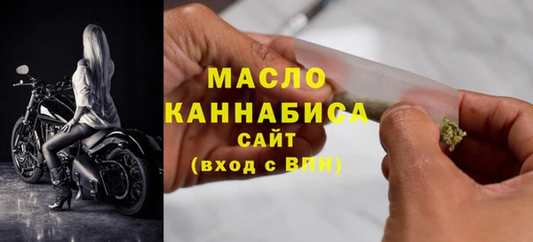 ECSTASY Горняк