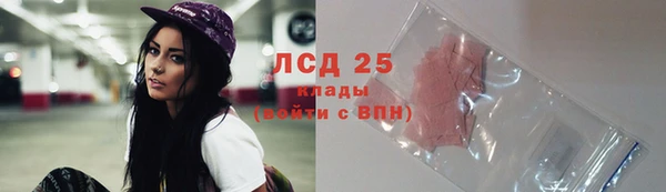 индика Гусиноозёрск