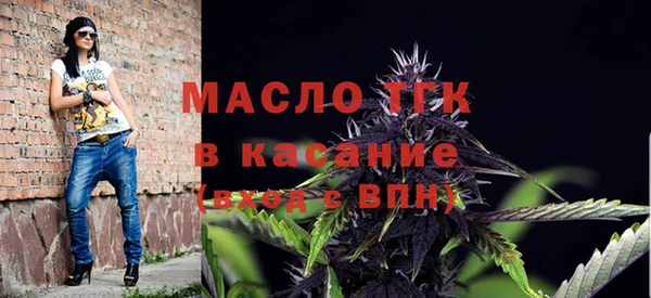 индика Гусиноозёрск