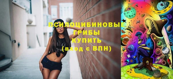 а пвп мука Гусев
