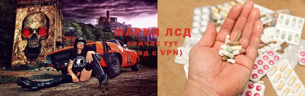 индика Гусиноозёрск