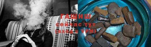 индика Гусиноозёрск