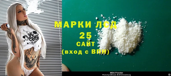 ECSTASY Горняк
