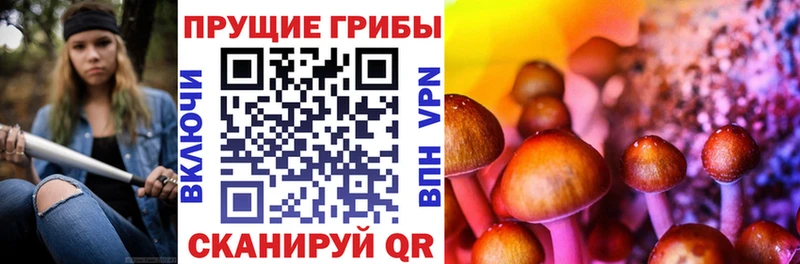 Галлюциногенные грибы мухоморы Южноуральск
